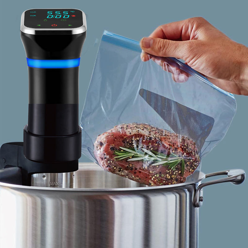 1100W فراغ طعام Sous Vide المح - مراجعة Digital Sous Vide Precision Cooker وسعره
